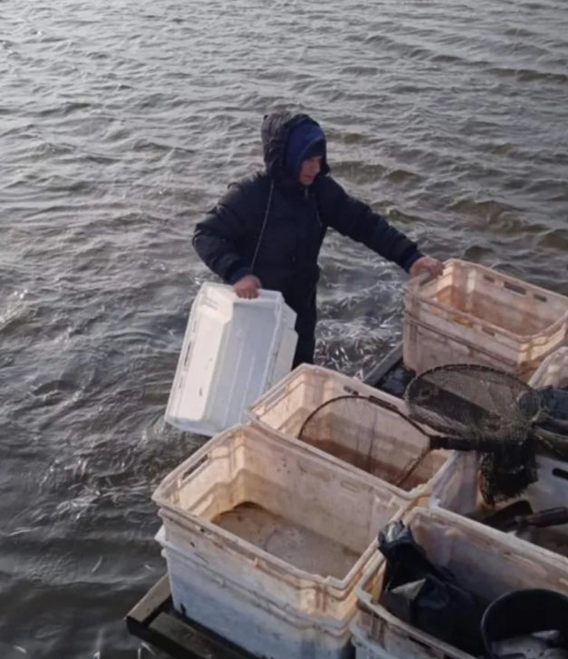 У річці Дніпро посеред зими на березі виявили мертву рибу: відео інциденту